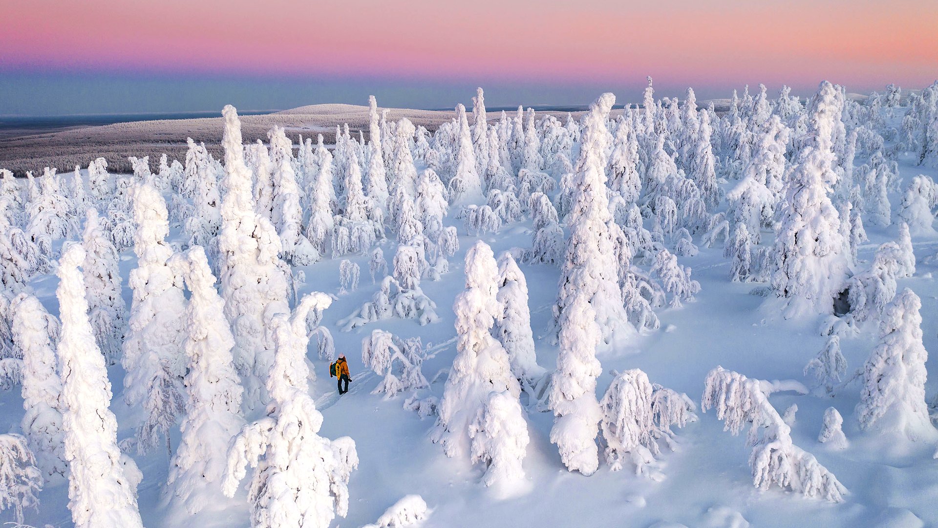 paisaje nevado de tromso