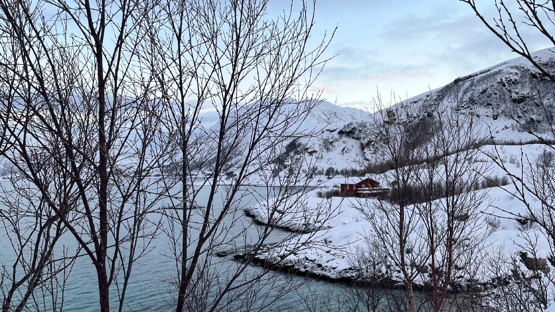 paisaje nevado del viaje a Tromsø & Skjervøy
