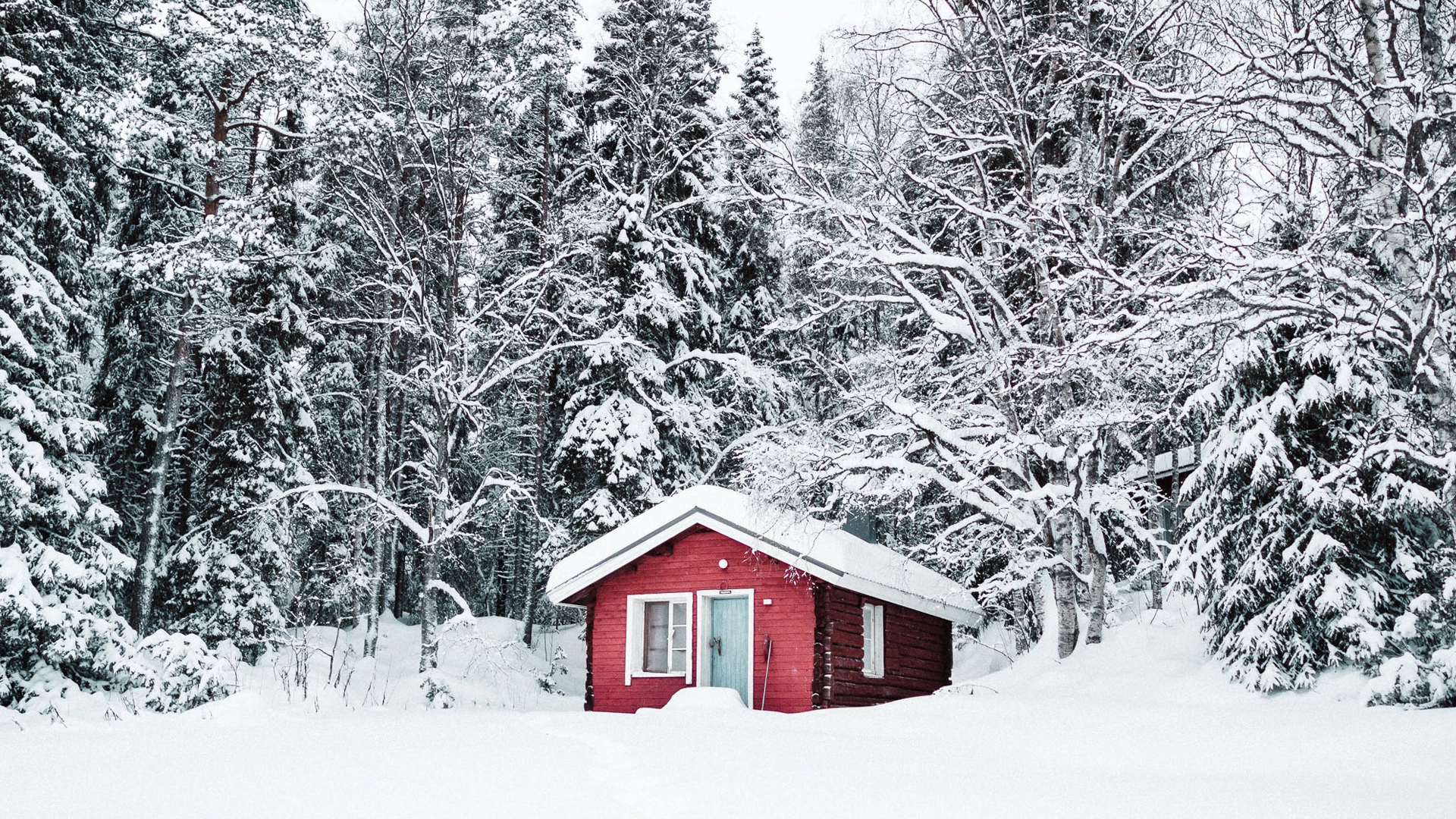 viaje a Tromsø & Skjervøy